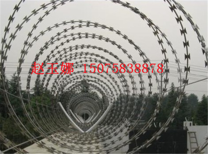 監(jiān)獄刀刺網(wǎng)
